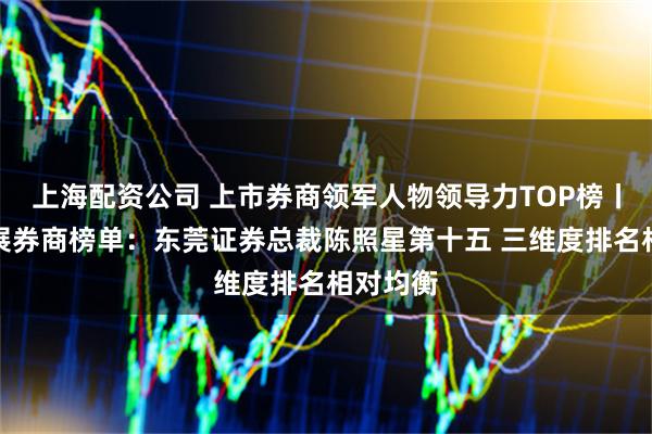 上海配资公司 上市券商领军人物领导力TOP榜丨成长发展券商榜单：东莞证券总裁陈照星第十五 三维度排名相对均衡
